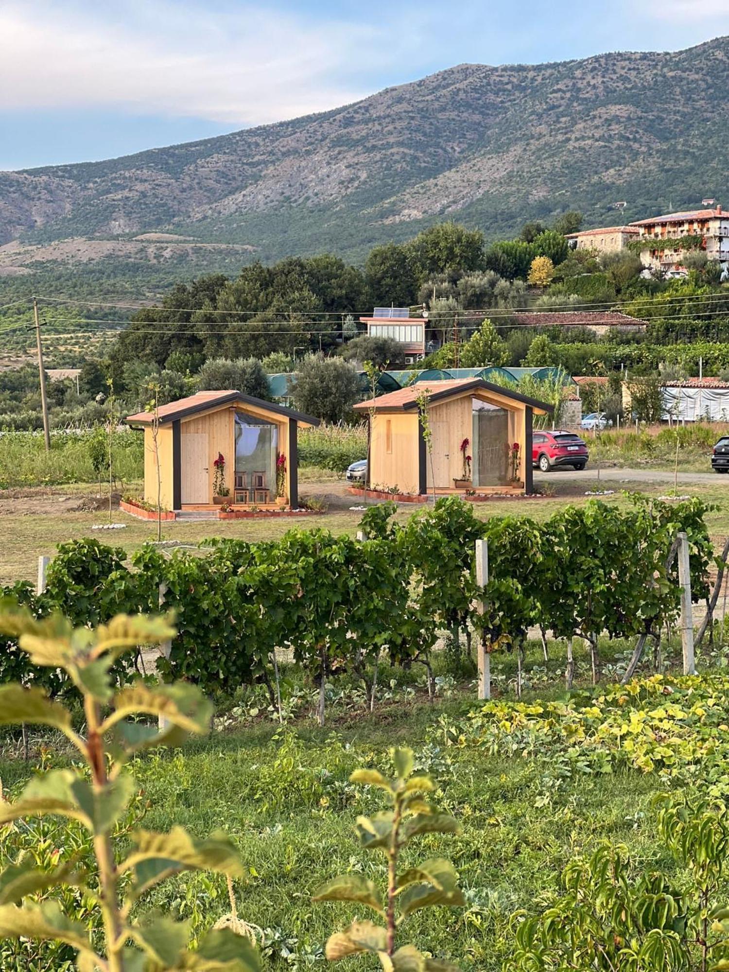 Fishta - Mrizi I Zanave Nyaraló *